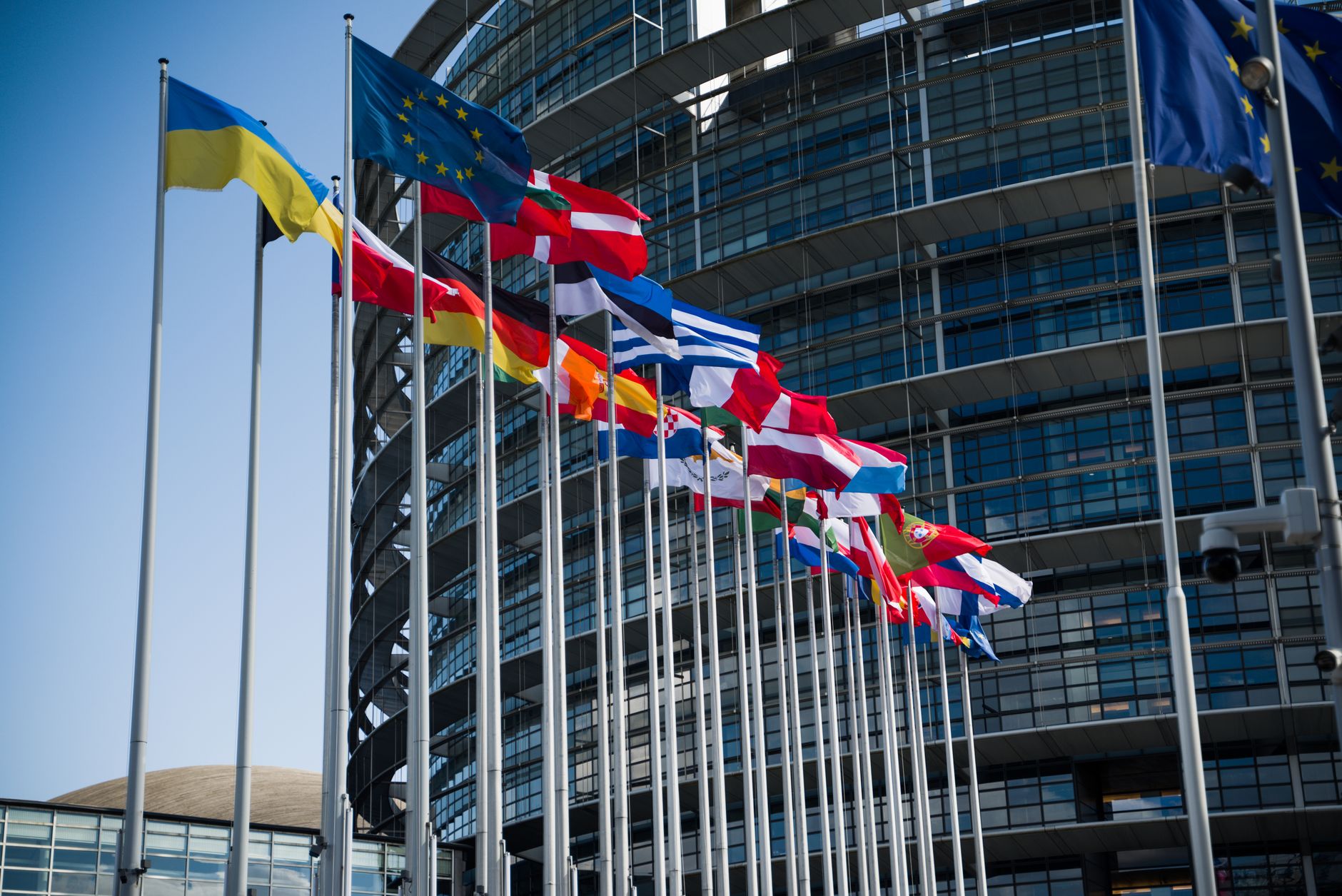 EU Politicians Investigated Pegasus Spyware. Then It Ended Up on One of Their Phones