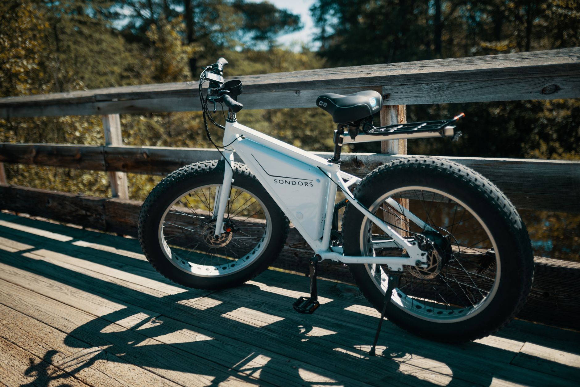 Is the Electric Trike the Next Big Thing in Shared Micromobility?